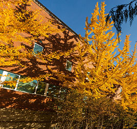 Engineering building in fall